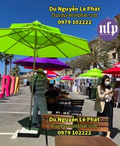 Mẫu dù che nắng