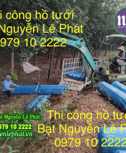 Bạt lót hồ Đắk Lắk, Bạt lót ao chứa nước tưới cây nuôi cá tại Đắk Lắk